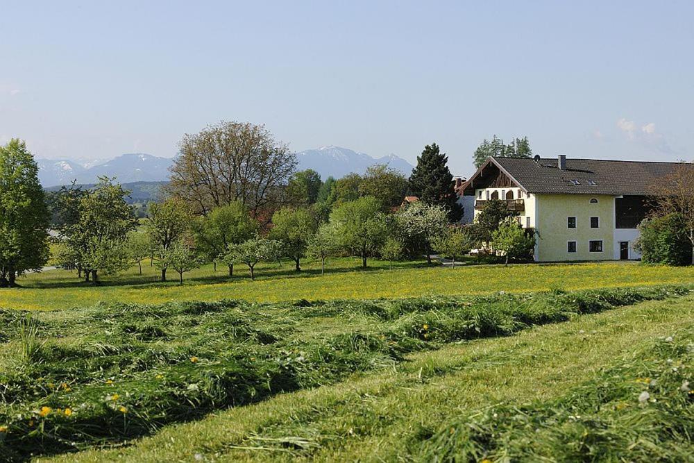 Köllhof Lägenhet Höslwang Exteriör bild
